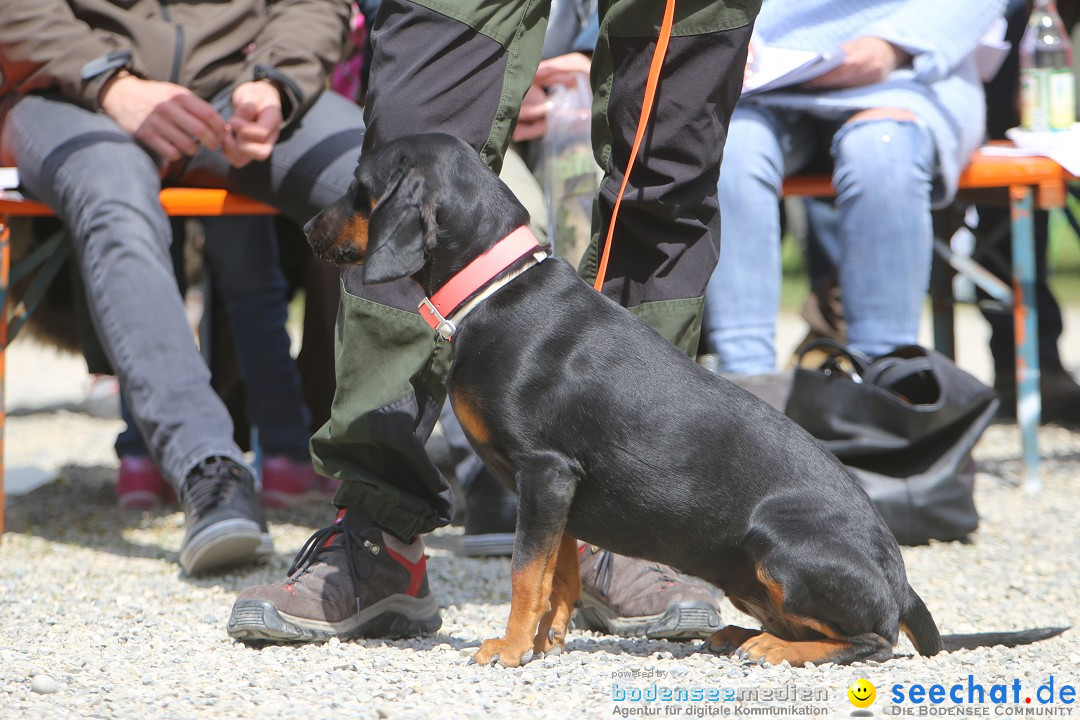 Jagdhundetag Dornsberg der Landesjagdschule: Eigeltingen, 23.04.2017