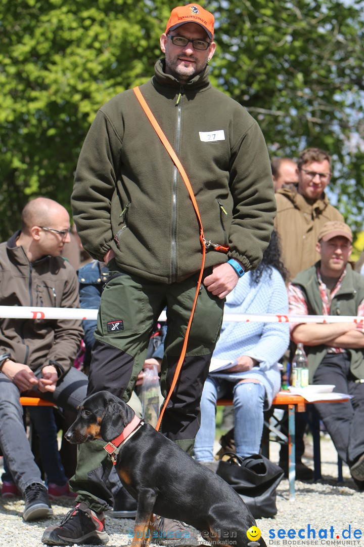 Jagdhundetag Dornsberg der Landesjagdschule: Eigeltingen, 23.04.2017