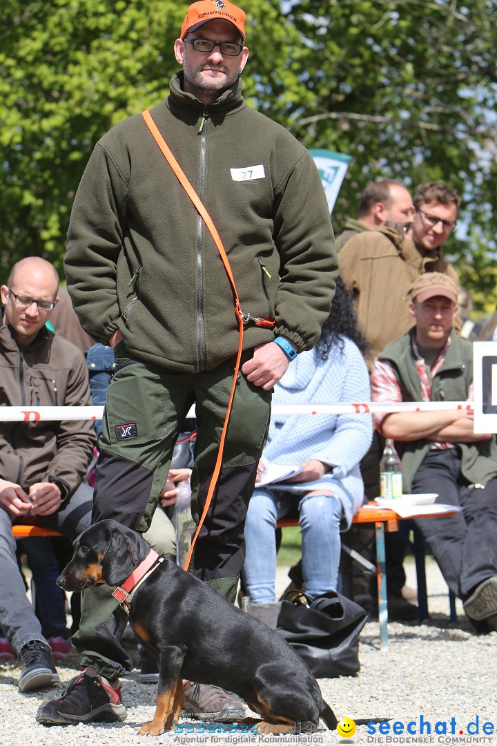 Jagdhundetag Dornsberg der Landesjagdschule: Eigeltingen, 23.04.2017