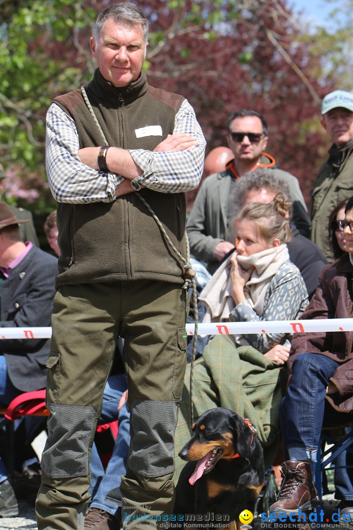 Jagdhundetag Dornsberg der Landesjagdschule: Eigeltingen, 23.04.2017