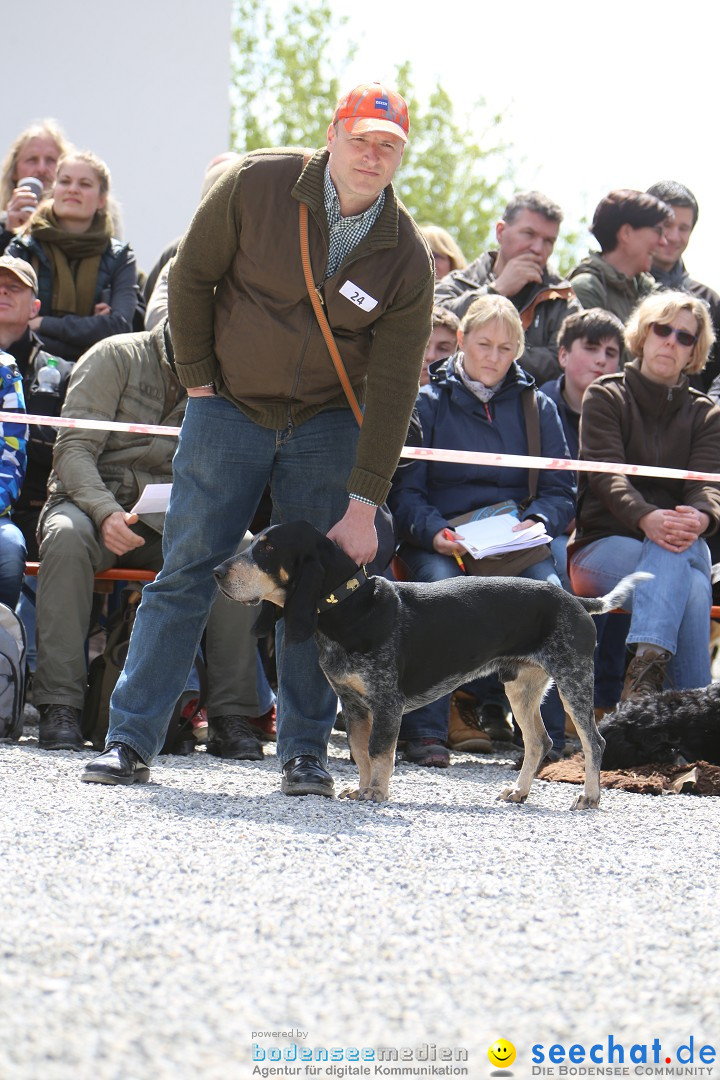 Jagdhundetag Dornsberg der Landesjagdschule: Eigeltingen, 23.04.2017