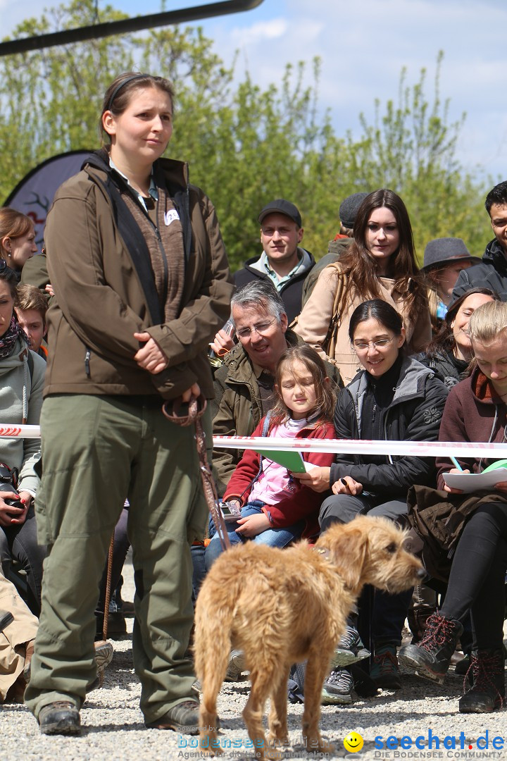 Jagdhundetag Dornsberg der Landesjagdschule: Eigeltingen, 23.04.2017