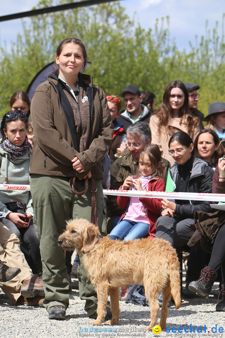 Jagdhundetag Dornsberg der Landesjagdschule: Eigeltingen, 23.04.2017