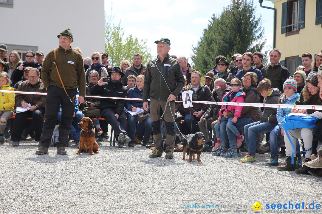 Jagdhundetag Dornsberg der Landesjagdschule: Eigeltingen, 23.04.2017