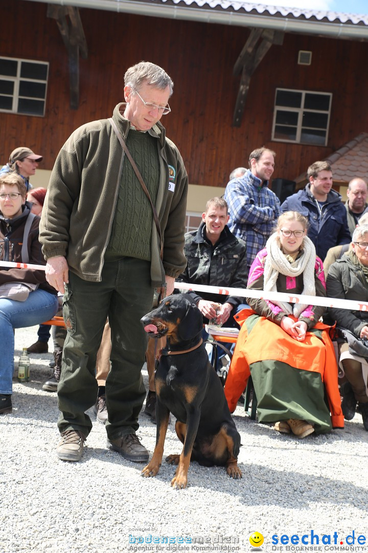 Jagdhundetag Dornsberg der Landesjagdschule: Eigeltingen, 23.04.2017