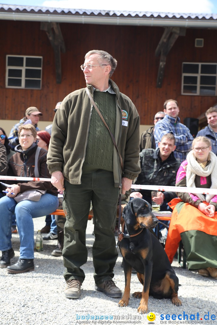 Jagdhundetag Dornsberg der Landesjagdschule: Eigeltingen, 23.04.2017