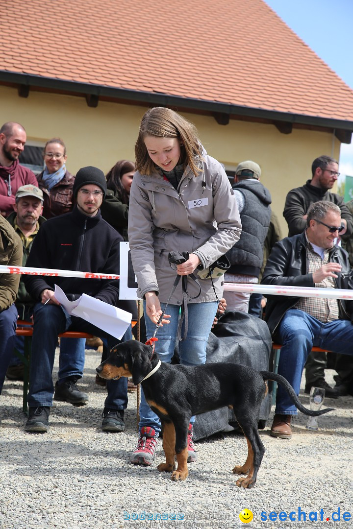 Jagdhundetag Dornsberg der Landesjagdschule: Eigeltingen, 23.04.2017