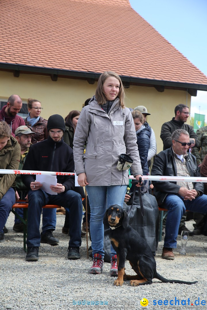 Jagdhundetag Dornsberg der Landesjagdschule: Eigeltingen, 23.04.2017