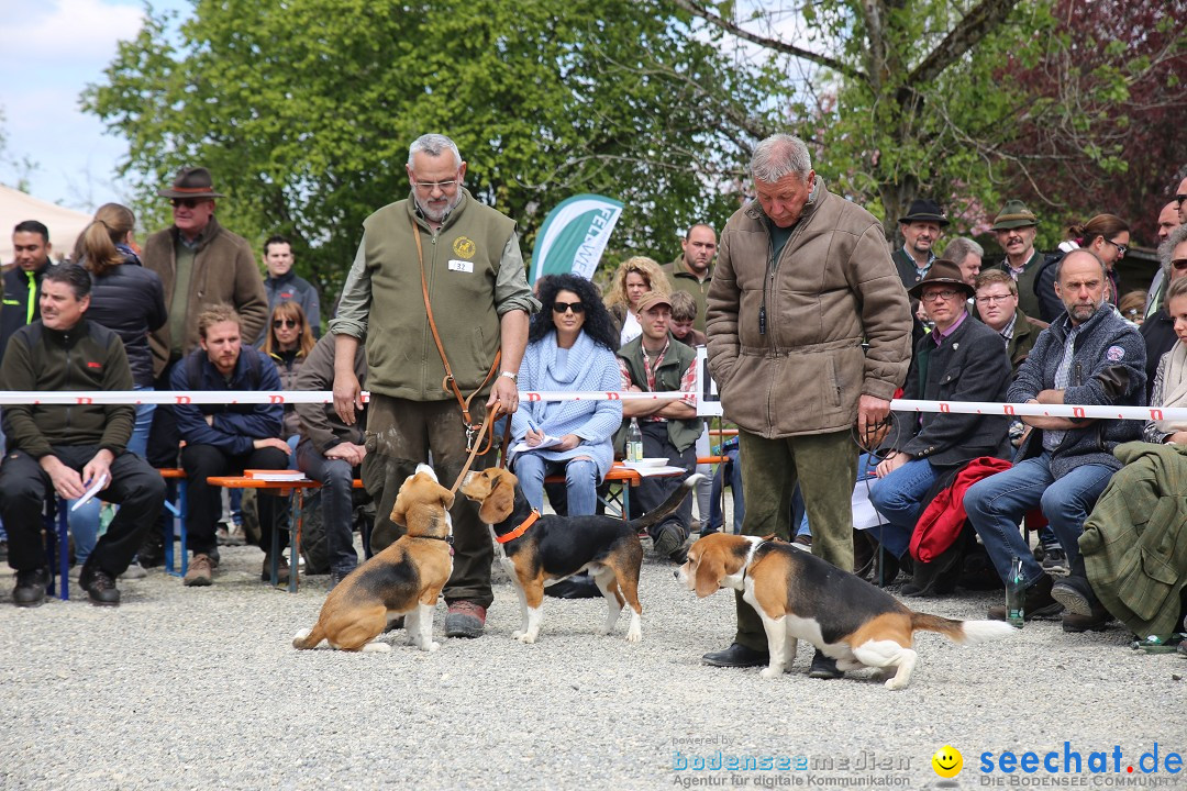 Jagdhundetag Dornsberg der Landesjagdschule: Eigeltingen, 23.04.2017