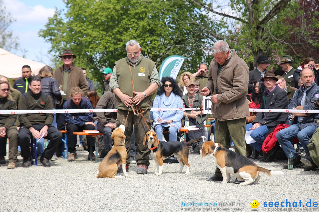 Jagdhundetag Dornsberg der Landesjagdschule: Eigeltingen, 23.04.2017