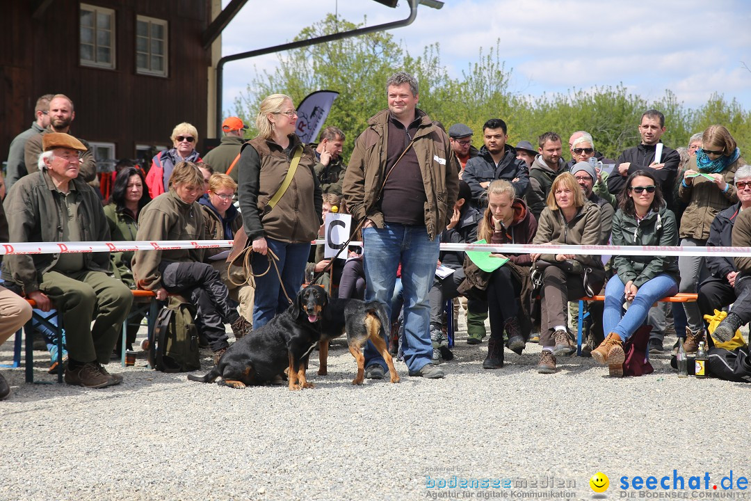 Jagdhundetag Dornsberg der Landesjagdschule: Eigeltingen, 23.04.2017