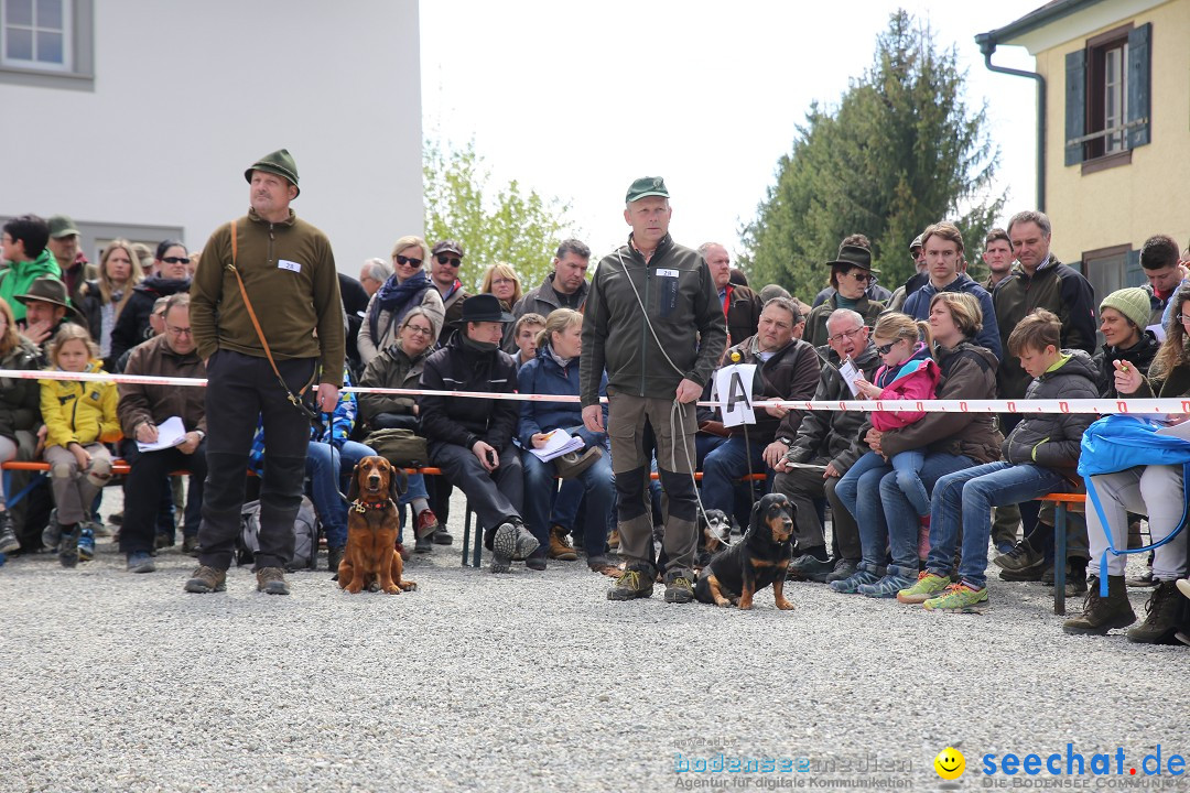 Jagdhundetag Dornsberg der Landesjagdschule: Eigeltingen, 23.04.2017