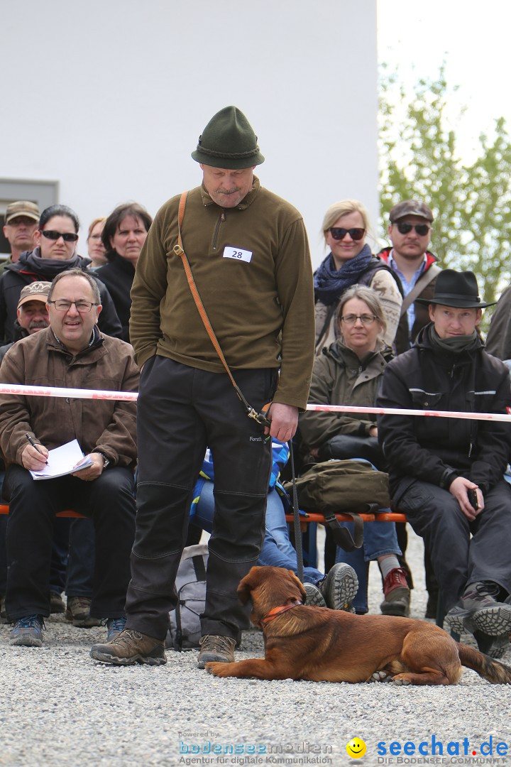 Jagdhundetag Dornsberg der Landesjagdschule: Eigeltingen, 23.04.2017