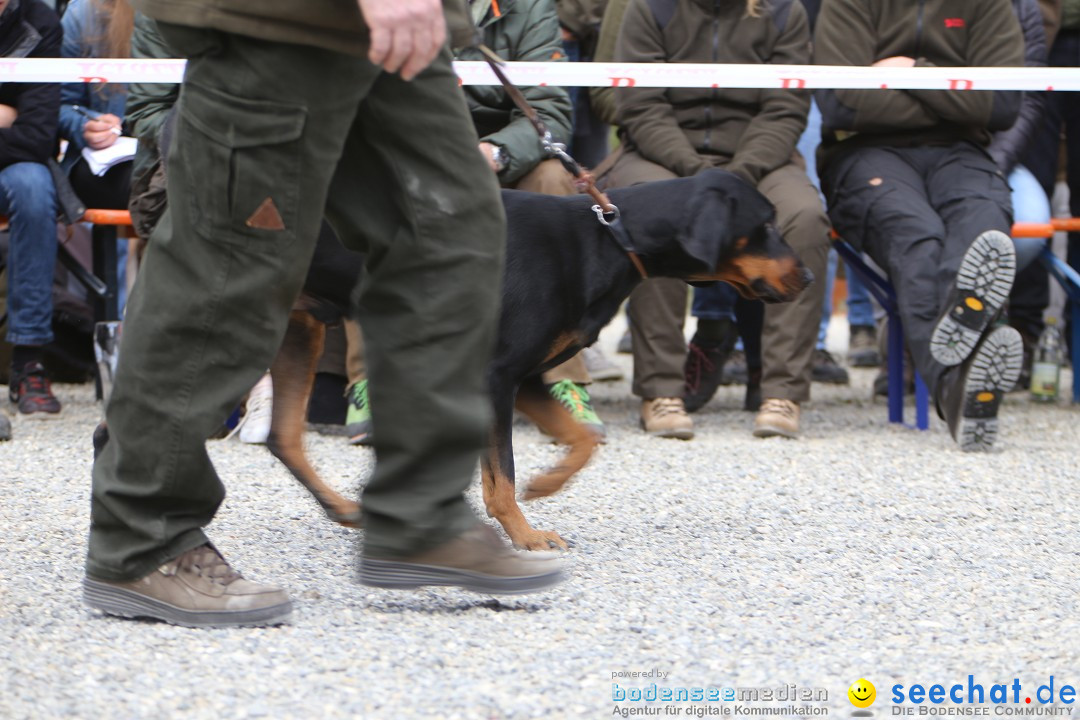 Jagdhundetag Dornsberg der Landesjagdschule: Eigeltingen, 23.04.2017