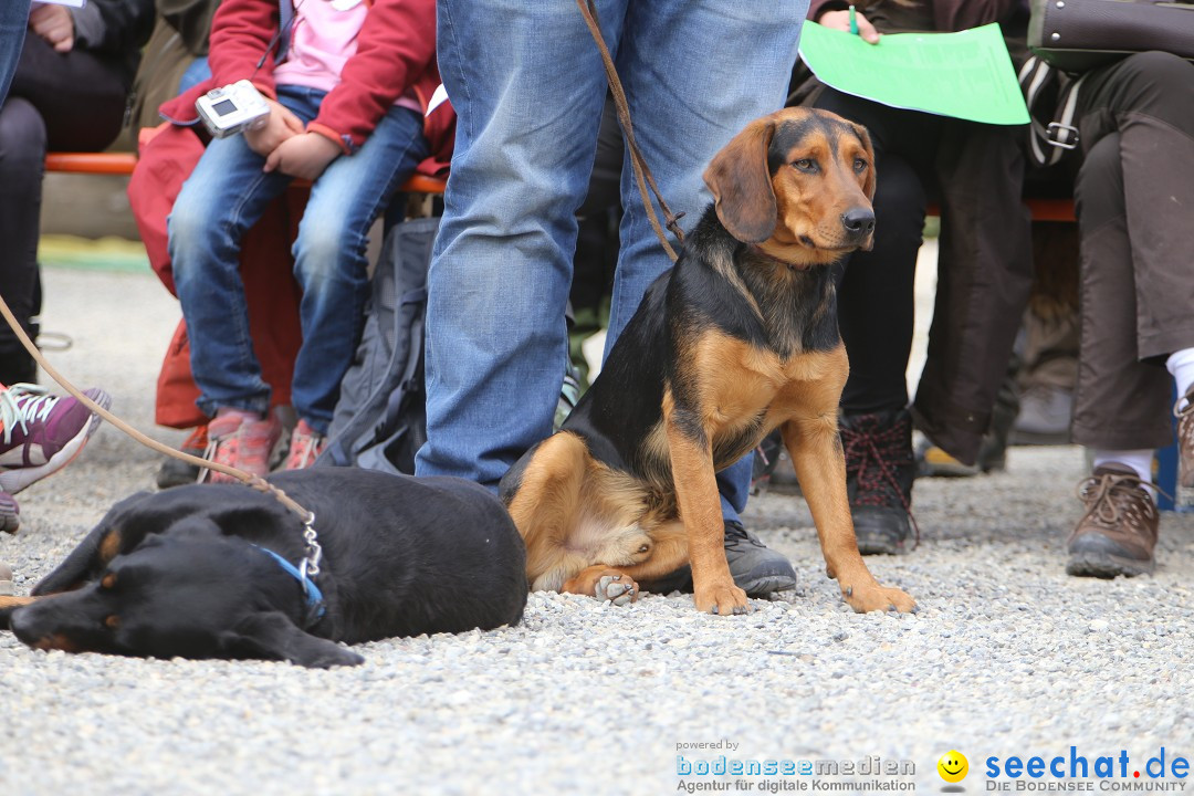 Jagdhundetag Dornsberg der Landesjagdschule: Eigeltingen, 23.04.2017