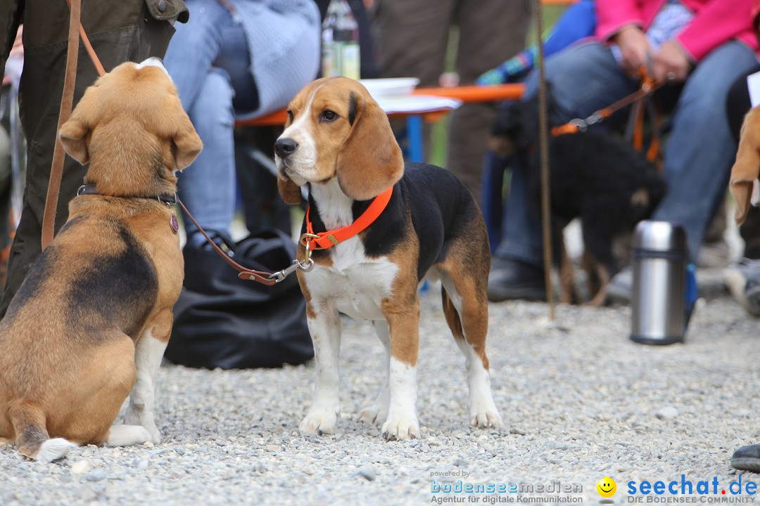 Jagdhundetag Dornsberg der Landesjagdschule: Eigeltingen, 23.04.2017