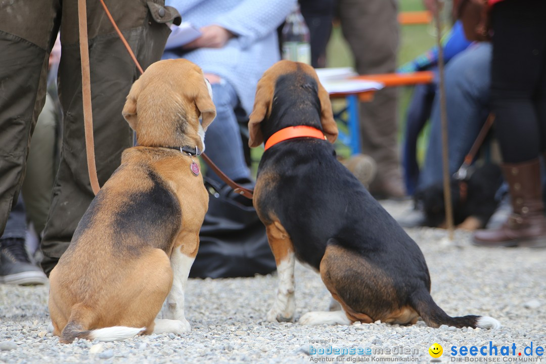 Jagdhundetag Dornsberg der Landesjagdschule: Eigeltingen, 23.04.2017