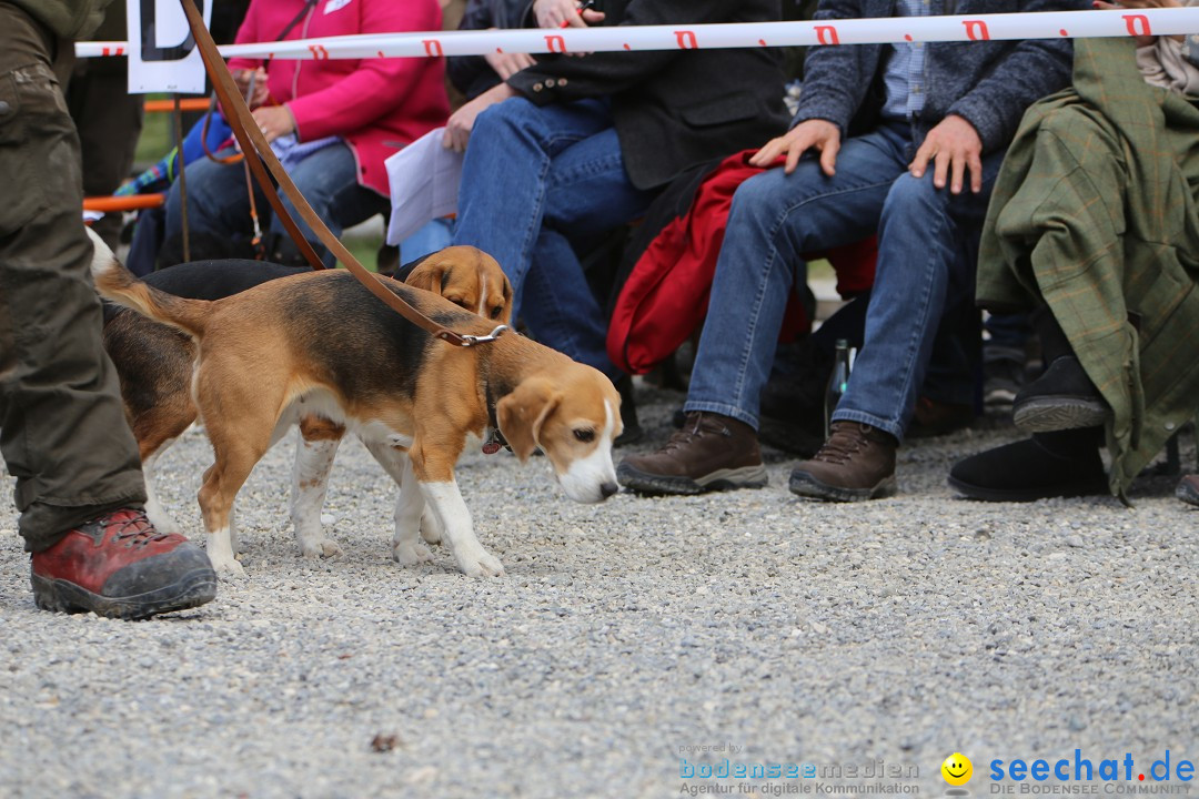 Jagdhundetag Dornsberg der Landesjagdschule: Eigeltingen, 23.04.2017