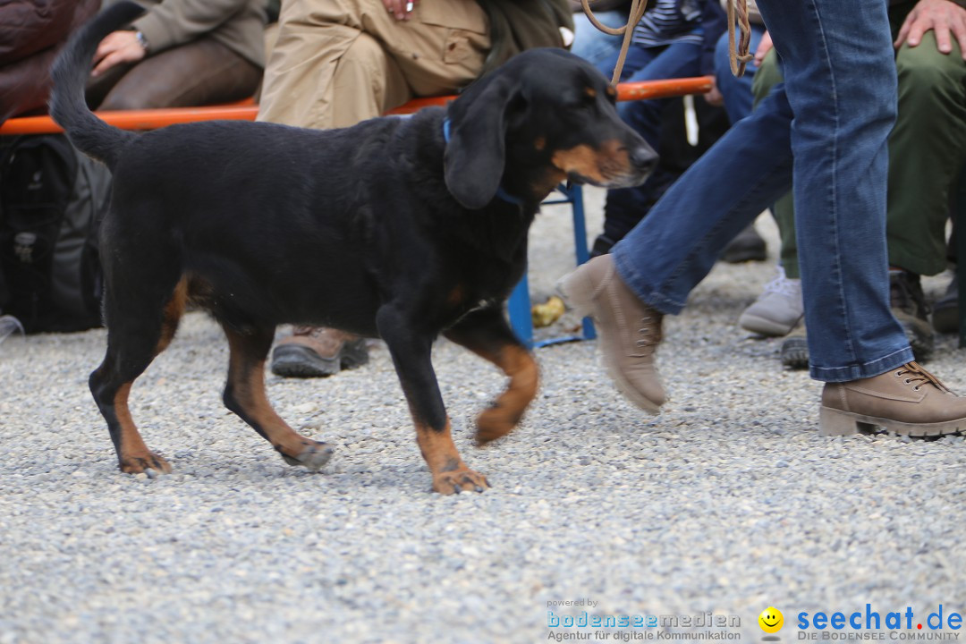 Jagdhundetag Dornsberg der Landesjagdschule: Eigeltingen, 23.04.2017