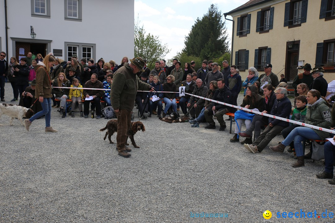 Jagdhundetag Dornsberg der Landesjagdschule: Eigeltingen, 23.04.2017