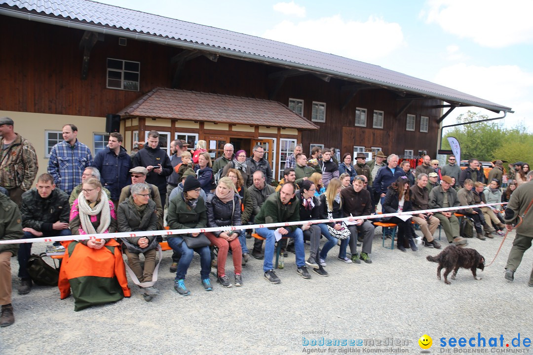 Jagdhundetag Dornsberg der Landesjagdschule: Eigeltingen, 23.04.2017