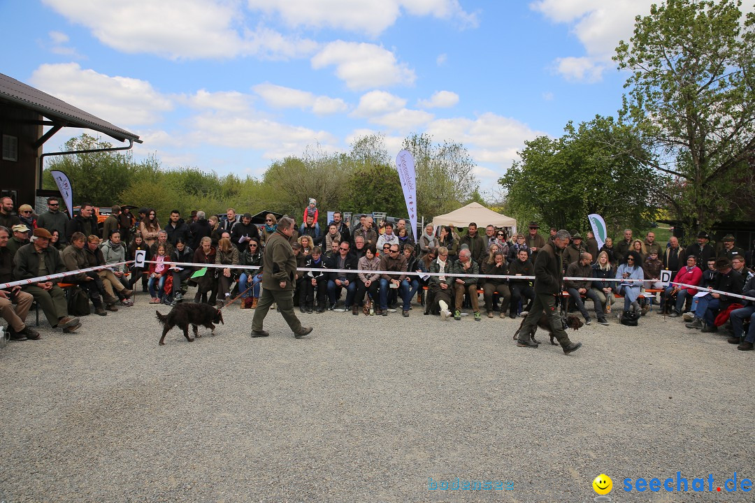 Jagdhundetag Dornsberg der Landesjagdschule: Eigeltingen, 23.04.2017