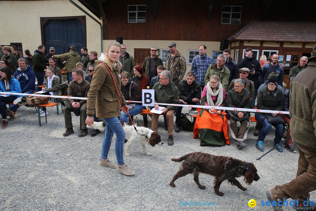 Jagdhundetag Dornsberg der Landesjagdschule: Eigeltingen, 23.04.2017