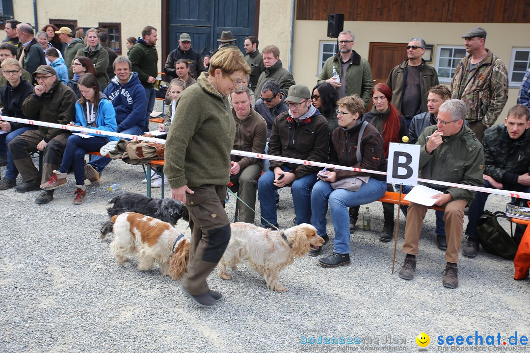 Jagdhundetag Dornsberg der Landesjagdschule: Eigeltingen, 23.04.2017