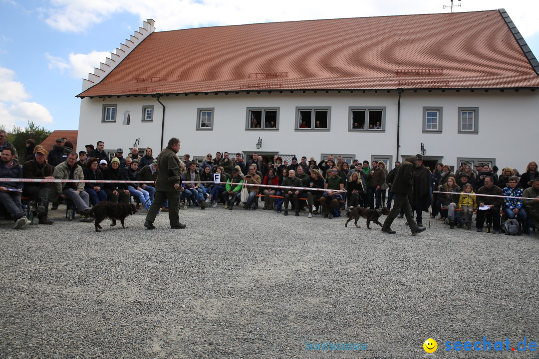 Jagdhundetag Dornsberg der Landesjagdschule: Eigeltingen, 23.04.2017