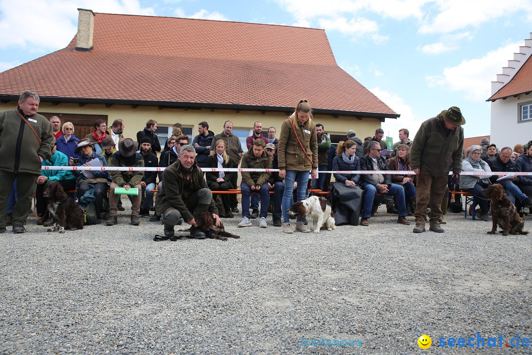 Jagdhundetag Dornsberg der Landesjagdschule: Eigeltingen, 23.04.2017