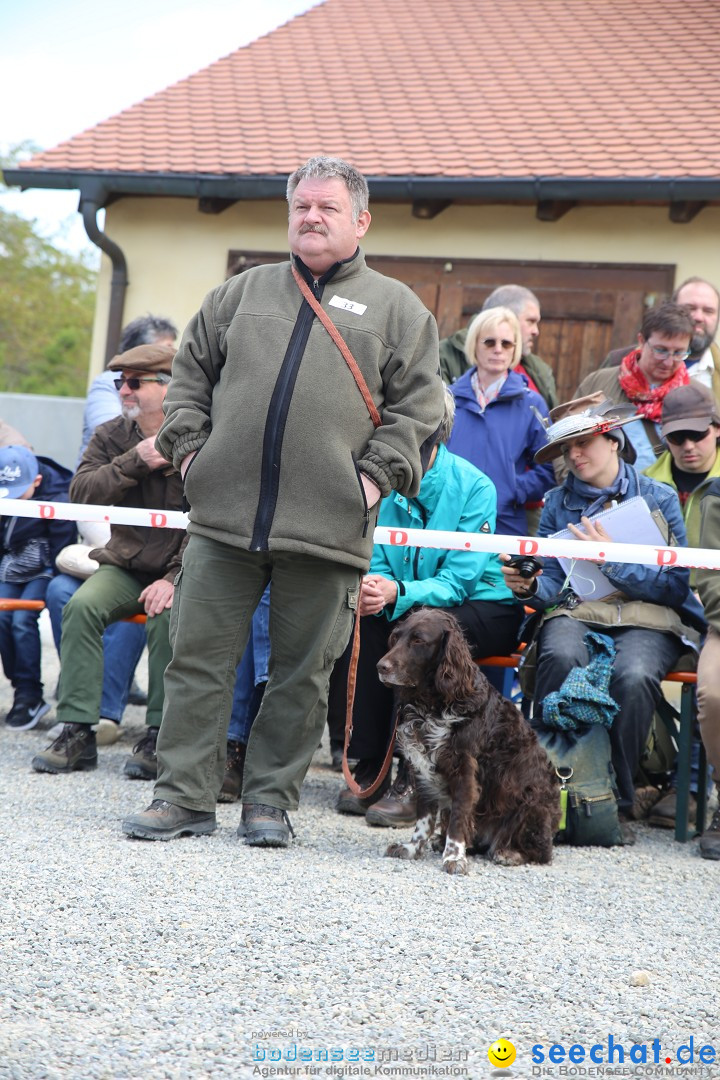 Jagdhundetag Dornsberg der Landesjagdschule: Eigeltingen, 23.04.2017