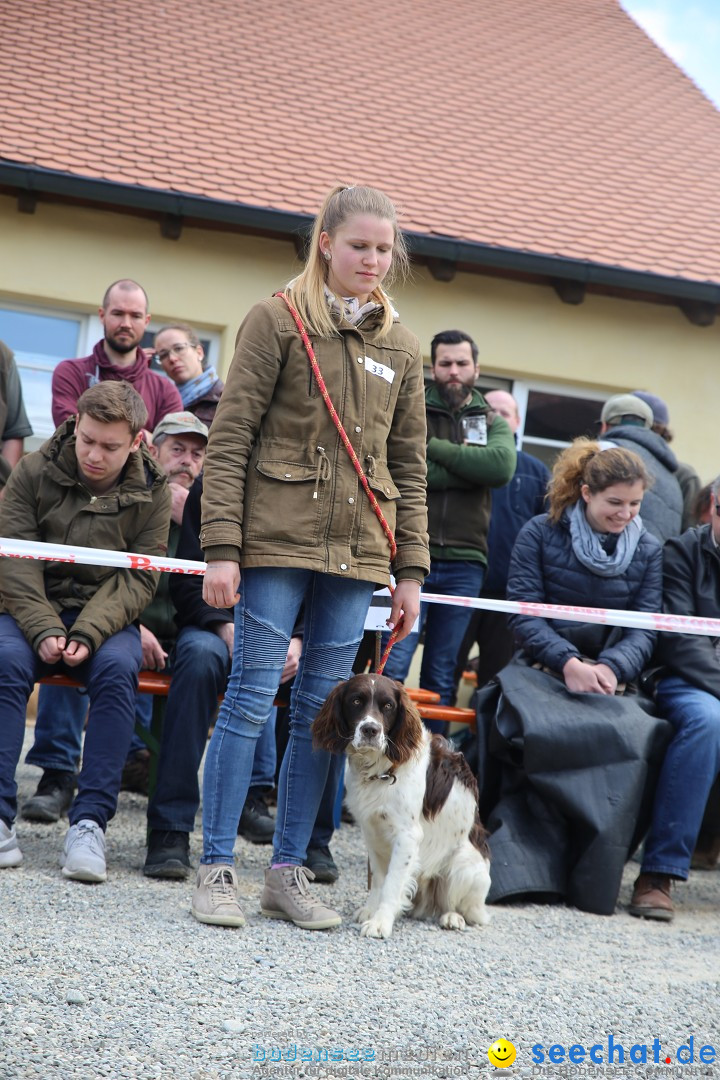 Jagdhundetag Dornsberg der Landesjagdschule: Eigeltingen, 23.04.2017