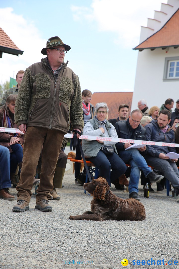 Jagdhundetag Dornsberg der Landesjagdschule: Eigeltingen, 23.04.2017