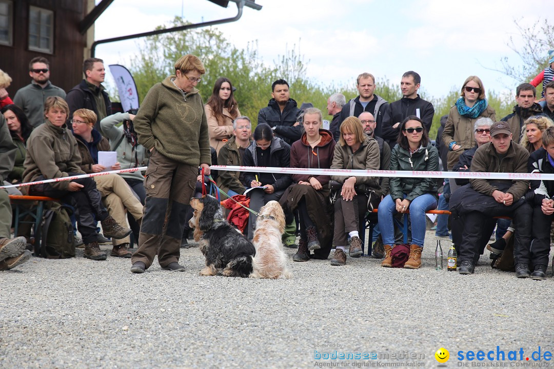 Jagdhundetag Dornsberg der Landesjagdschule: Eigeltingen, 23.04.2017