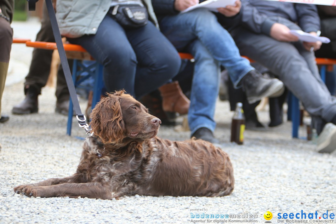 Jagdhundetag Dornsberg der Landesjagdschule: Eigeltingen, 23.04.2017