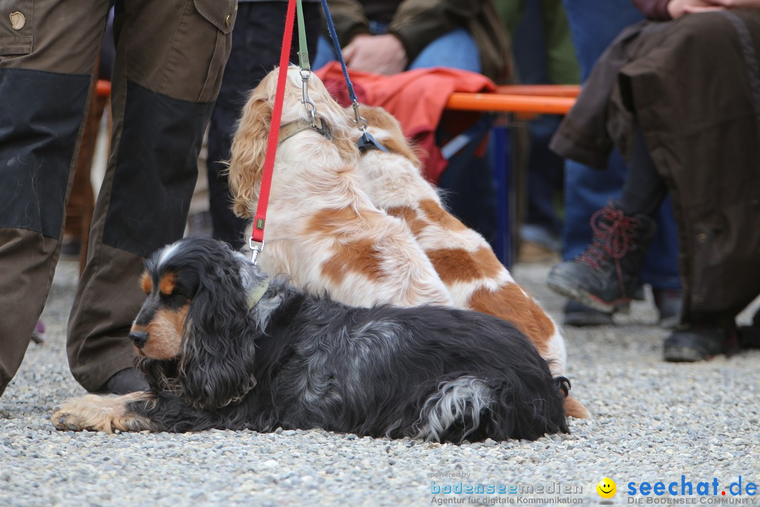 Jagdhundetag Dornsberg der Landesjagdschule: Eigeltingen, 23.04.2017