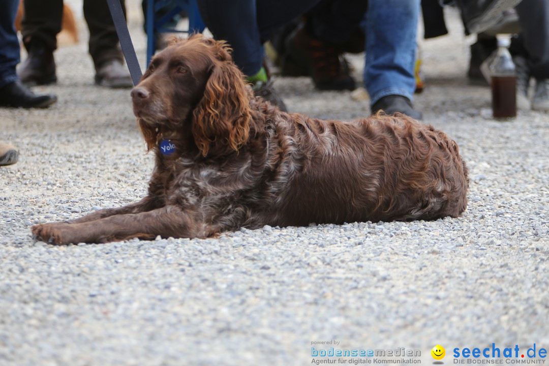 Jagdhundetag Dornsberg der Landesjagdschule: Eigeltingen, 23.04.2017