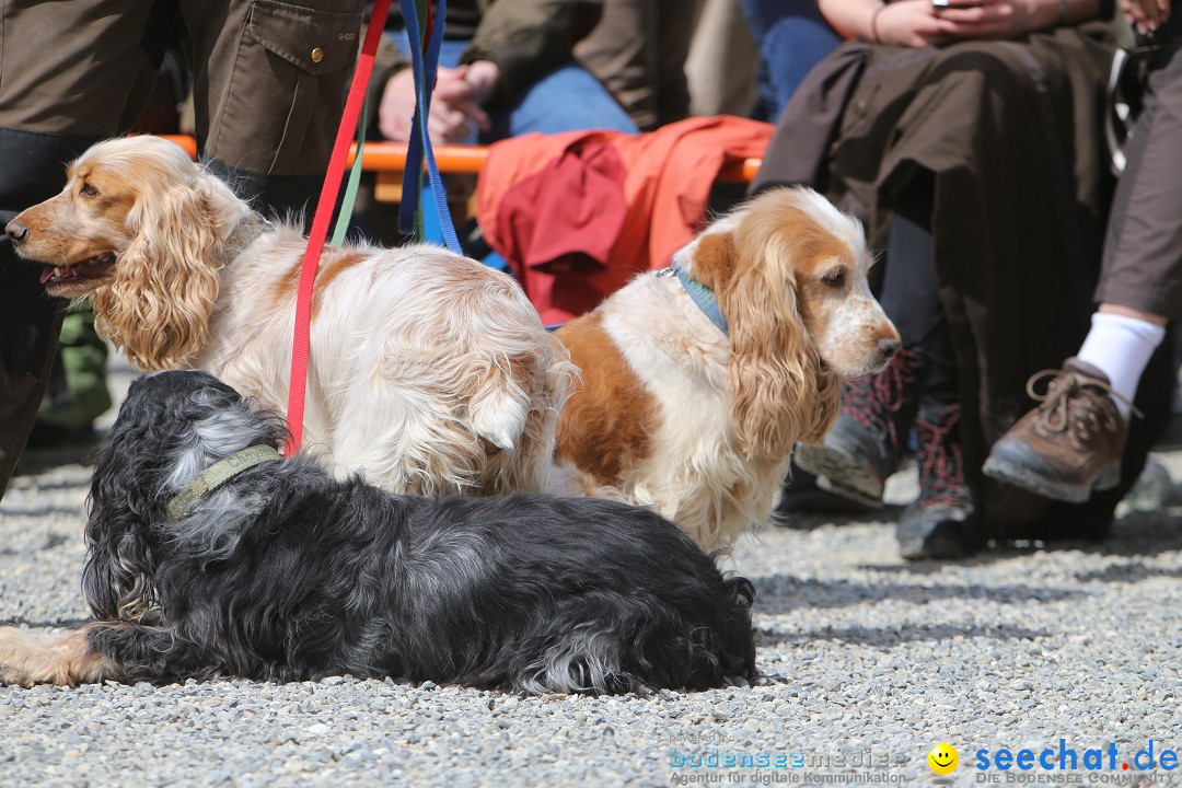 Jagdhundetag Dornsberg der Landesjagdschule: Eigeltingen, 23.04.2017