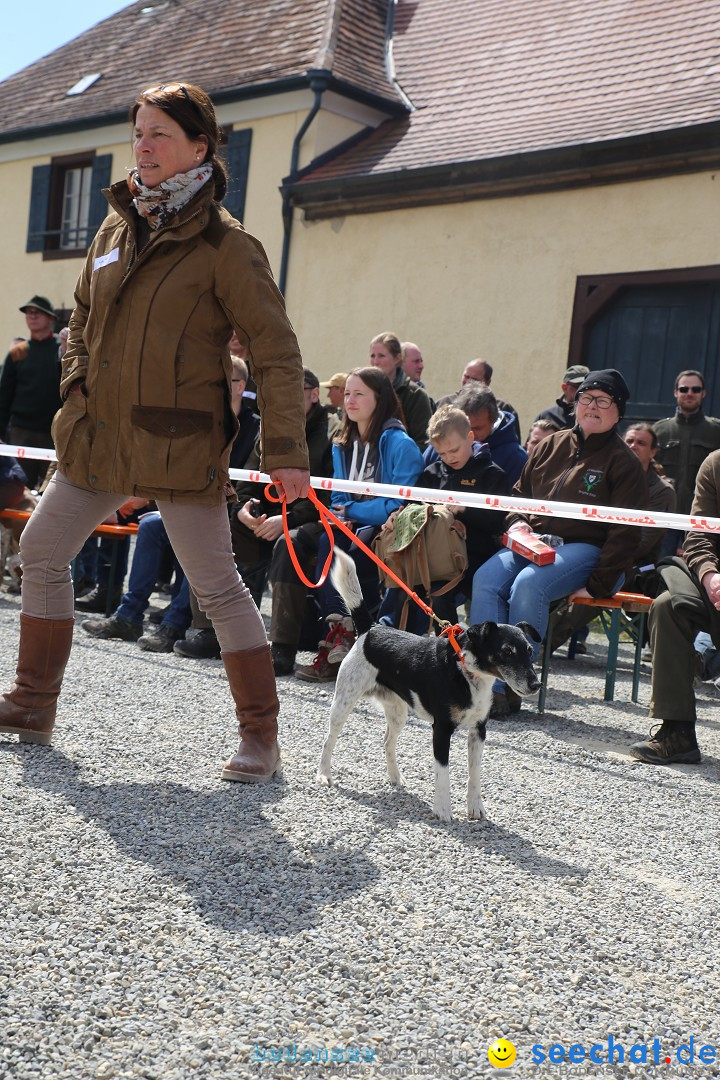 Jagdhundetag Dornsberg der Landesjagdschule: Eigeltingen, 23.04.2017