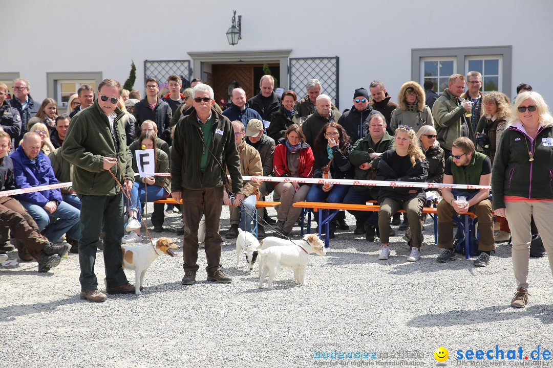 Jagdhundetag Dornsberg der Landesjagdschule: Eigeltingen, 23.04.2017