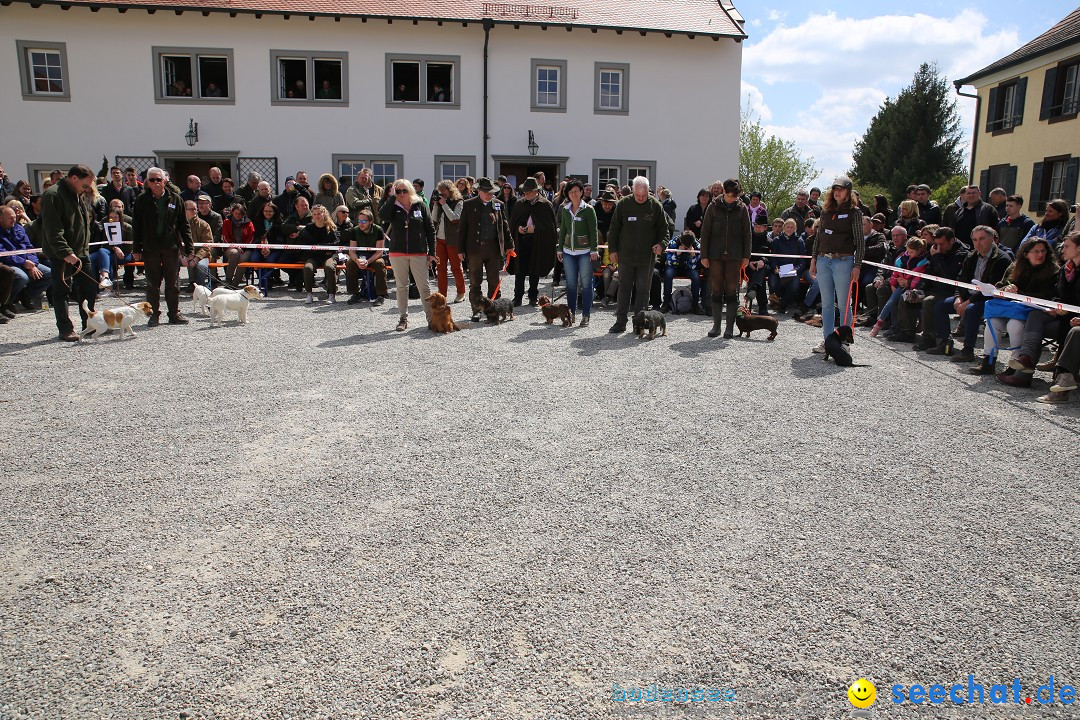 Jagdhundetag Dornsberg der Landesjagdschule: Eigeltingen, 23.04.2017