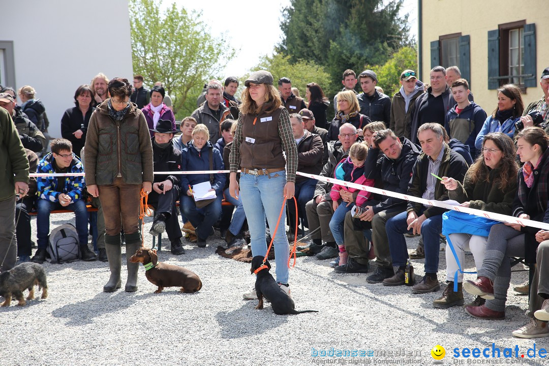 Jagdhundetag Dornsberg der Landesjagdschule: Eigeltingen, 23.04.2017