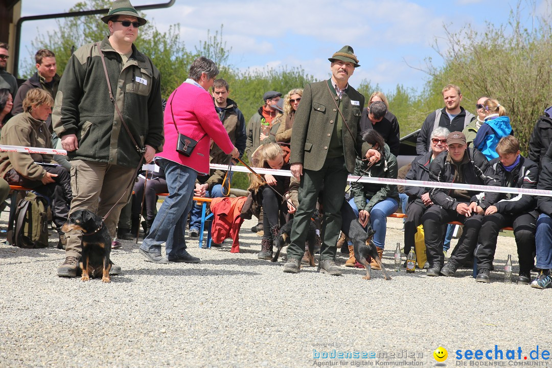 Jagdhundetag Dornsberg der Landesjagdschule: Eigeltingen, 23.04.2017