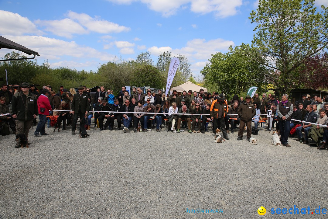 Jagdhundetag Dornsberg der Landesjagdschule: Eigeltingen, 23.04.2017