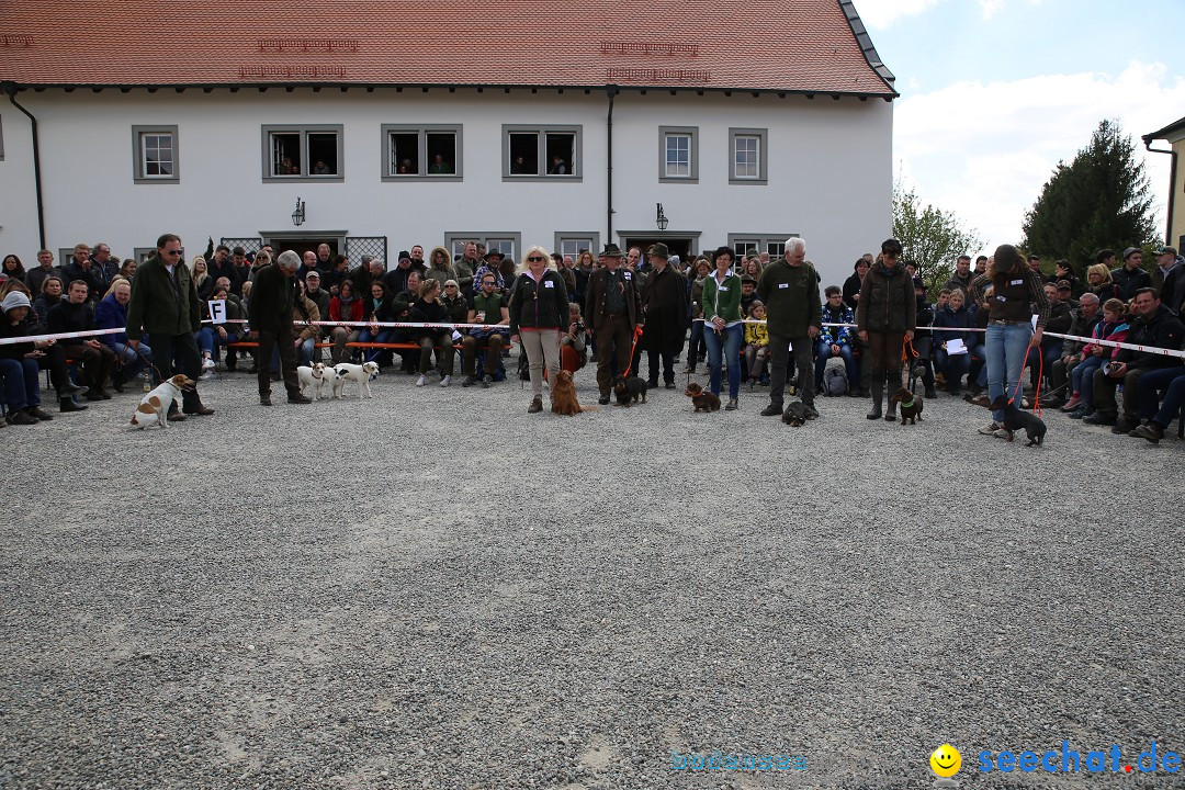 Jagdhundetag Dornsberg der Landesjagdschule: Eigeltingen, 23.04.2017