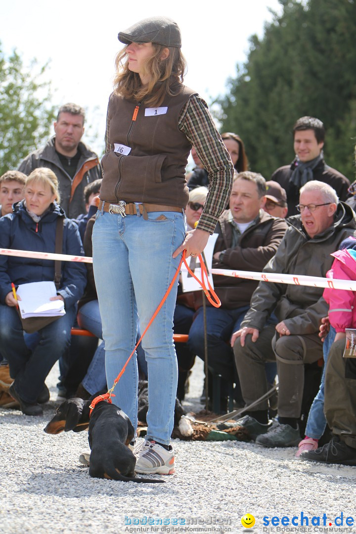 Jagdhundetag Dornsberg der Landesjagdschule: Eigeltingen, 23.04.2017