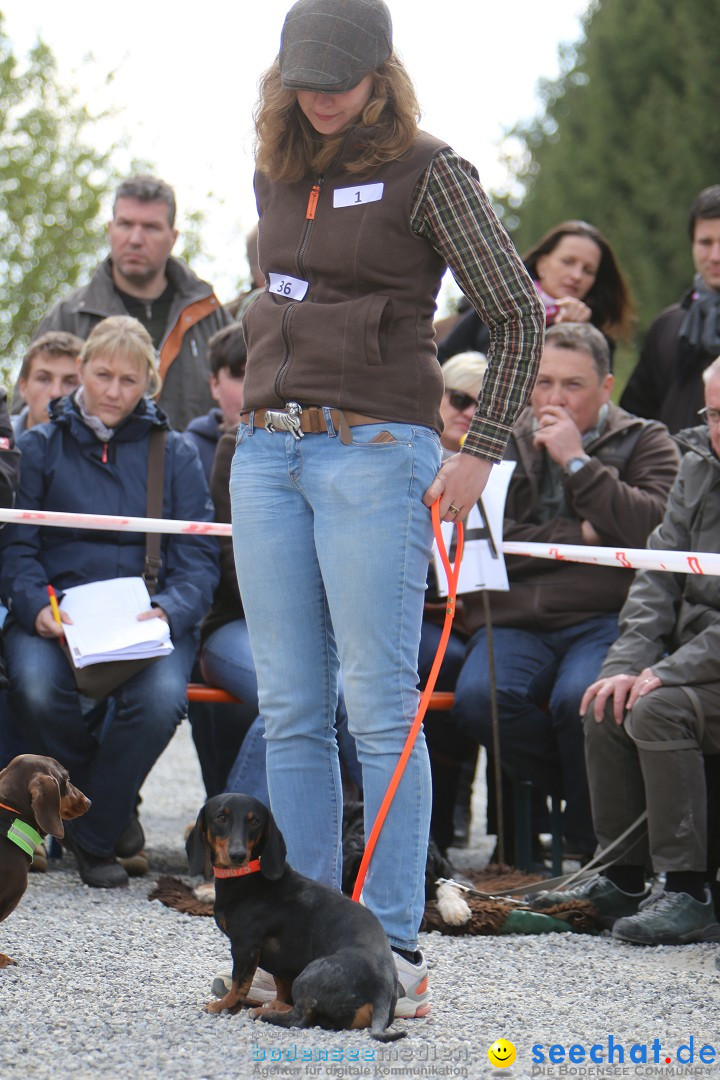 Jagdhundetag Dornsberg der Landesjagdschule: Eigeltingen, 23.04.2017