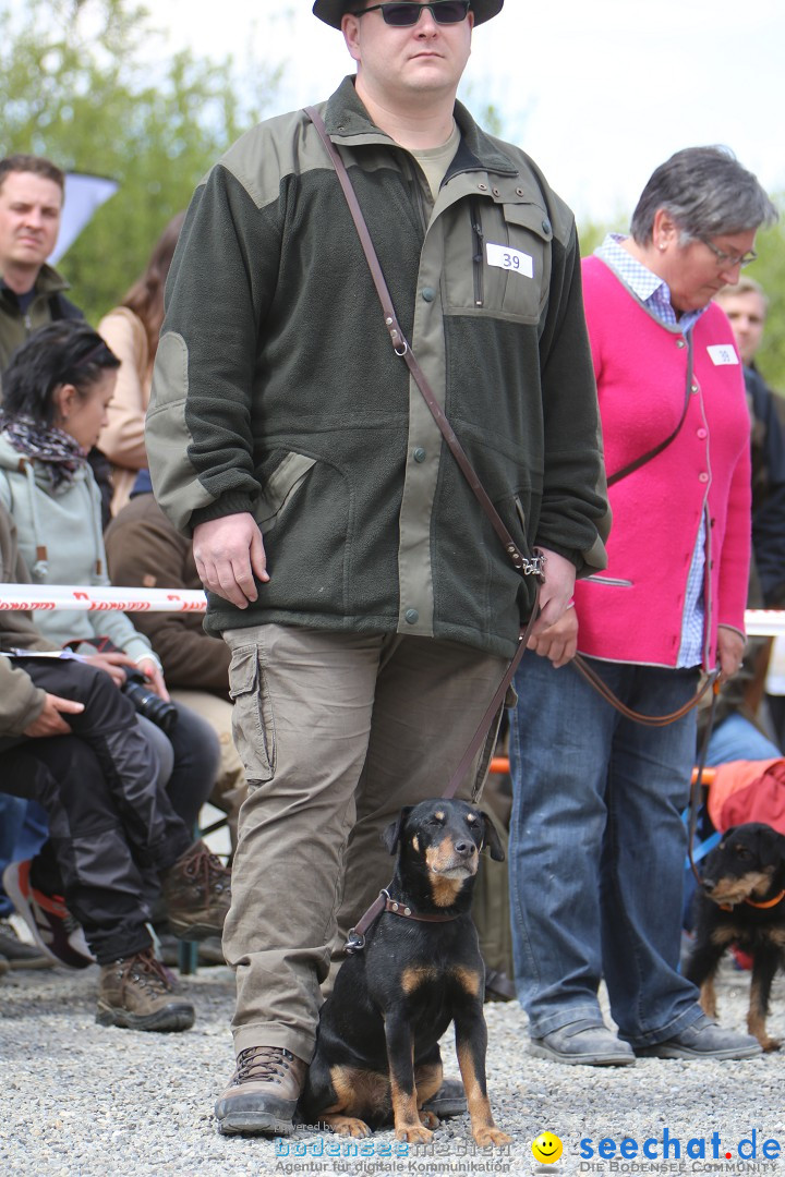 Jagdhundetag Dornsberg der Landesjagdschule: Eigeltingen, 23.04.2017