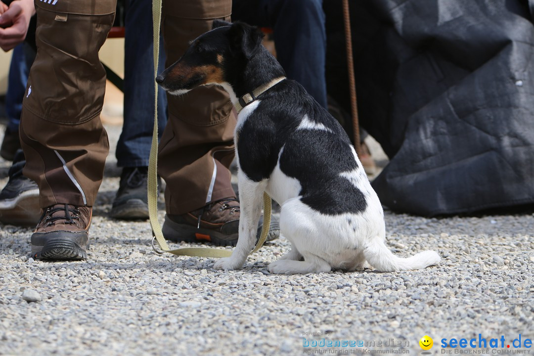 Jagdhundetag Dornsberg der Landesjagdschule: Eigeltingen, 23.04.2017