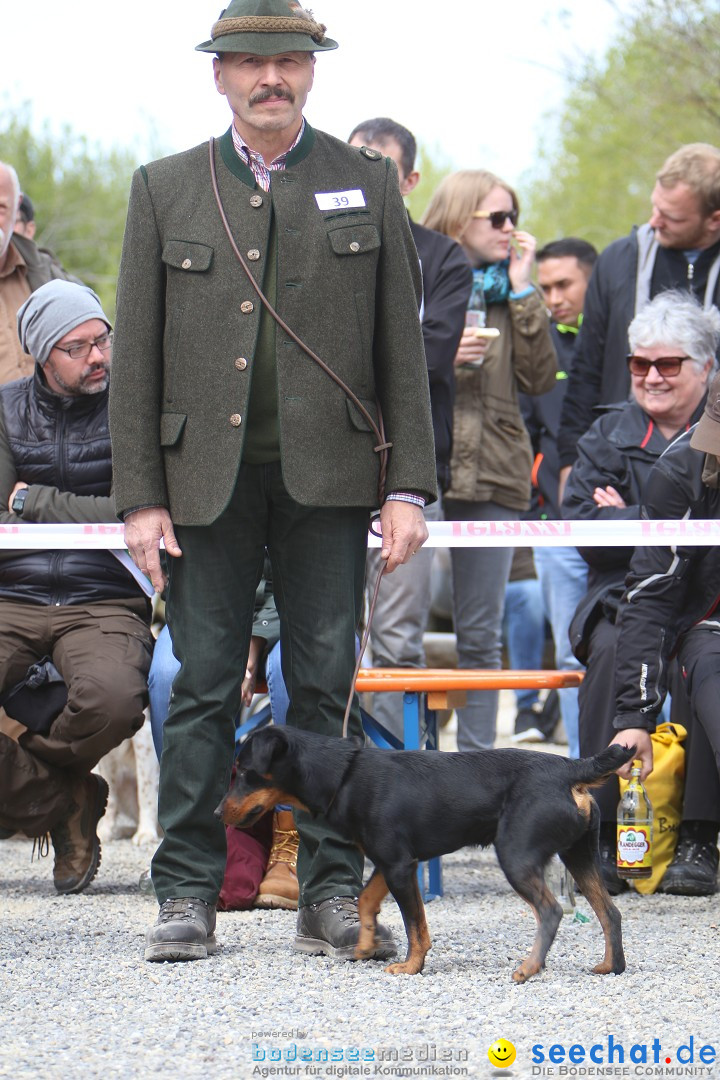 Jagdhundetag Dornsberg der Landesjagdschule: Eigeltingen, 23.04.2017